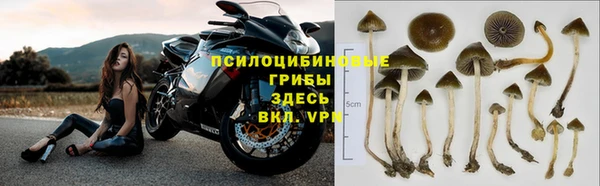 а пвп мука Заводоуковск