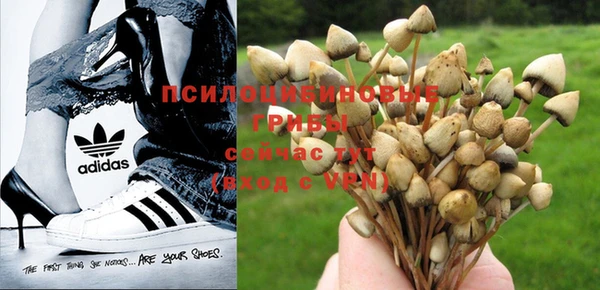 прущая мука Заволжье