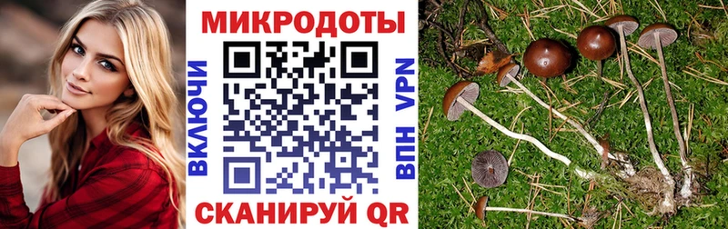 Галлюциногенные грибы Magic Shrooms  Купить  Темников 